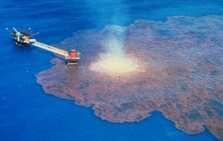 Нефть в Мексиканском заливе съедят бактерии